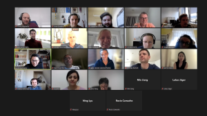 screenshot of participants during online kick-off meeting